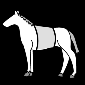 horse: saddle blanket